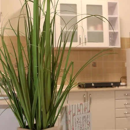 Apartament Tulipan *